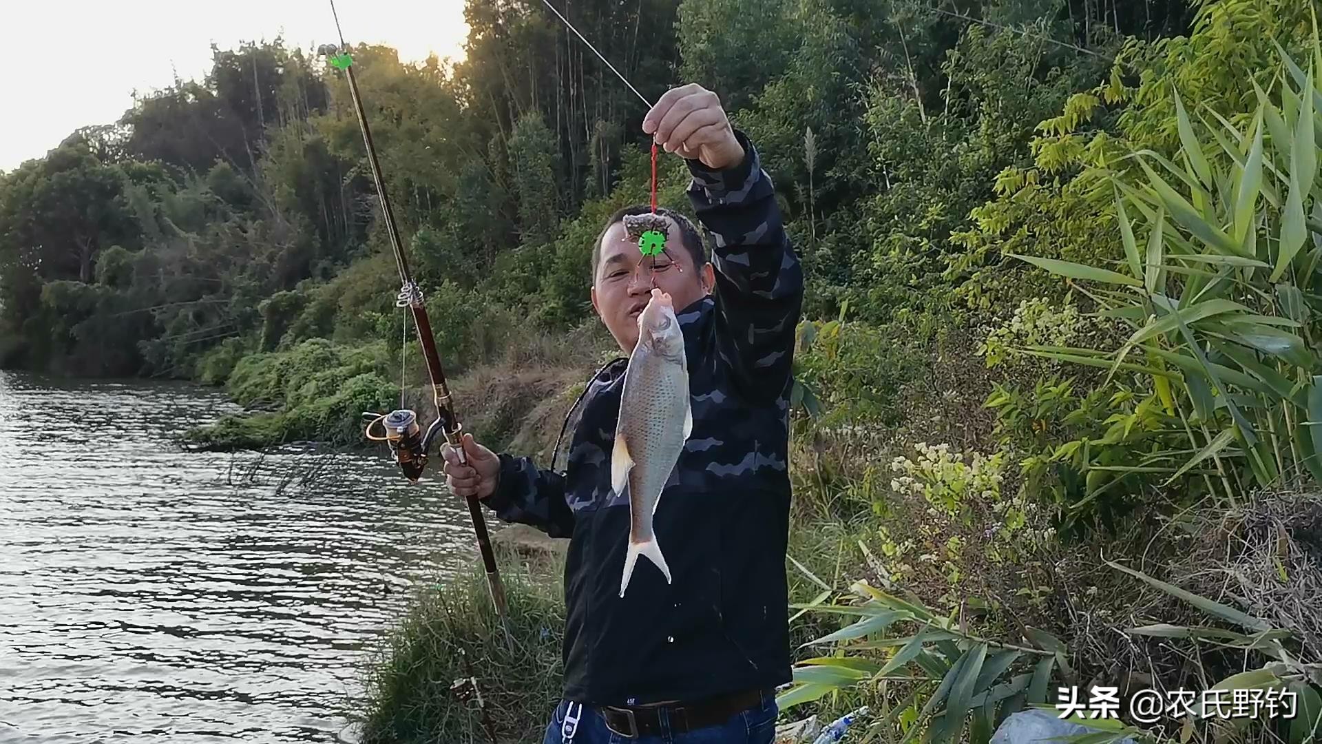 翻板钩用花生饼和豆饼哪个好,花生饼钓鲤鱼饵料制作方法