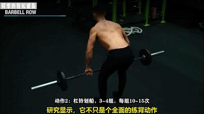 背部肌肉训练计划虐出完美的背肌,背部各个肌肉位置锻炼方法