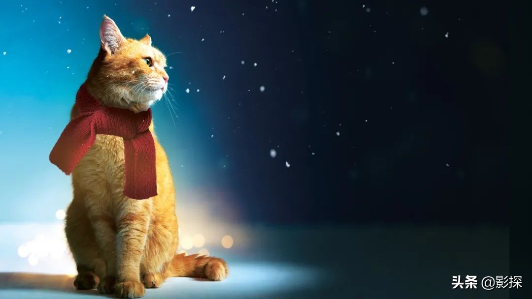 绁ㄦ埧榛戦┈鐩樼偣,绁ㄦ埧榛戦┈鍗囩骇鍥炲綊