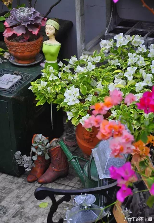 她40岁之前忙成狗，40岁之后在上海买房隐居