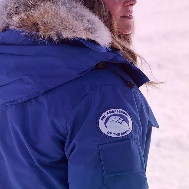 加拿大鹅与波司登买哪个,波司登和加拿大鹅差距在哪里