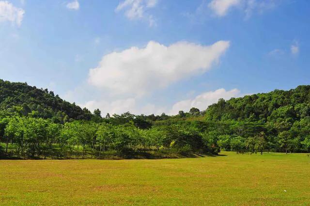 湖泊风景区推荐,深圳十大免费主题公园