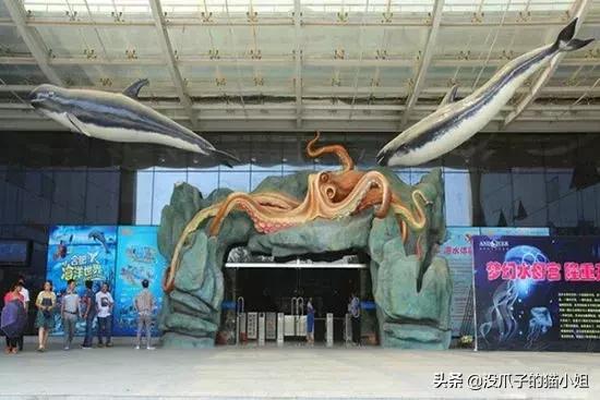 合肥游泳避暑地点,合肥避暑好玩的地方