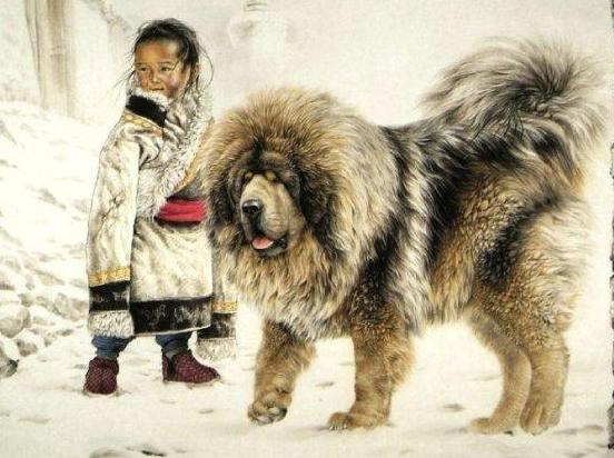 看家的狗狗,看家狗狗大全