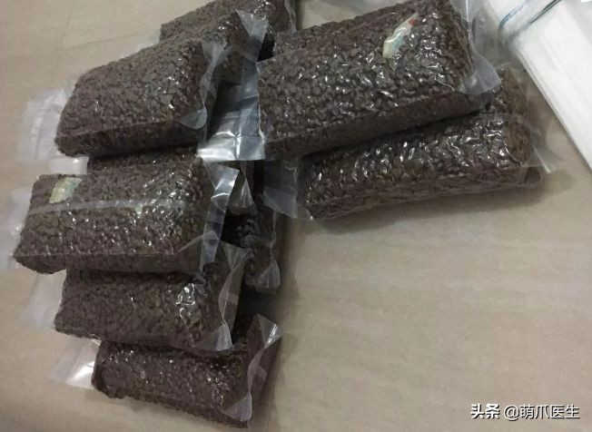 哪个品牌的猫粮把猫吃死了,go猫粮出事后怎么办