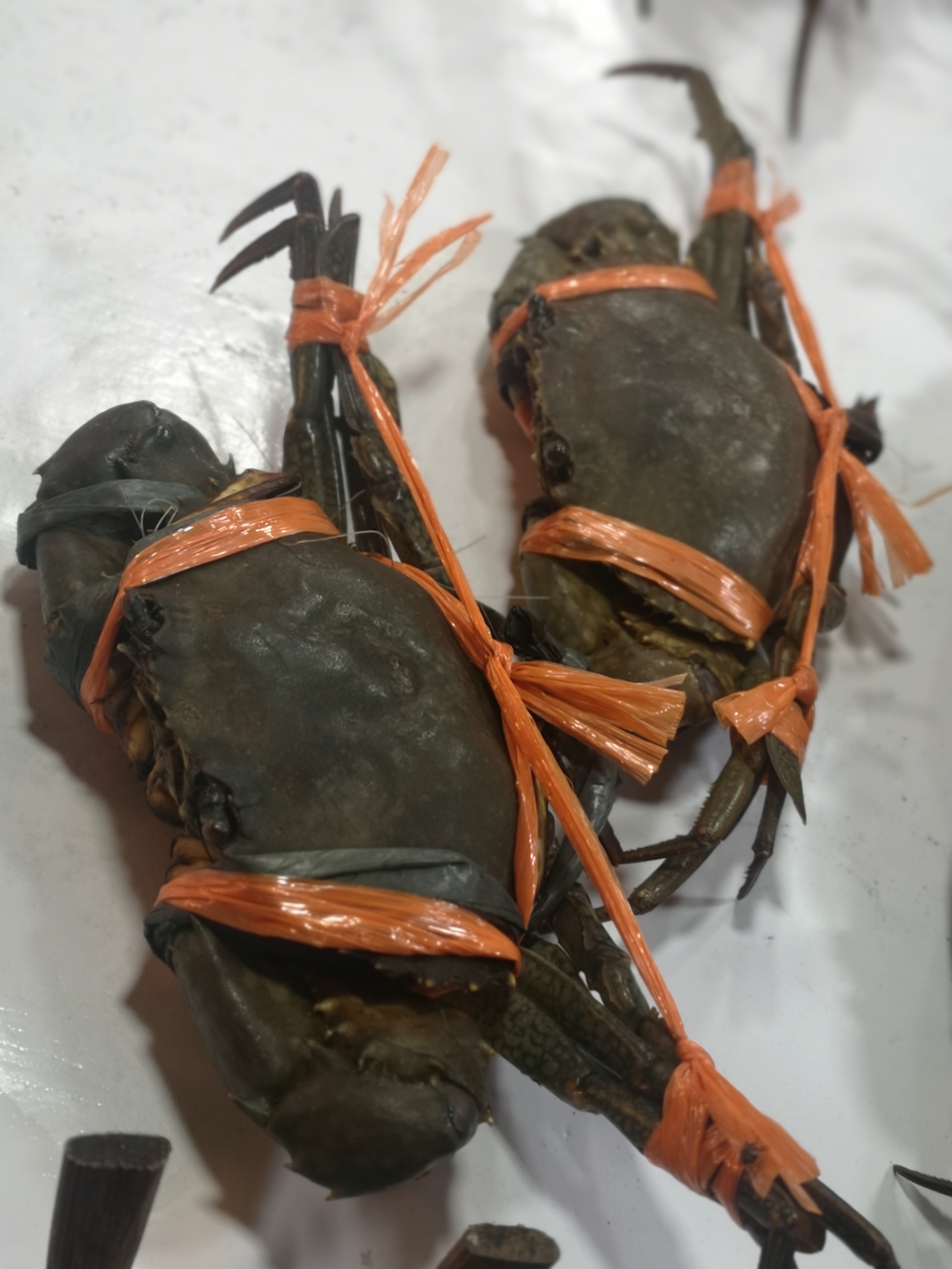 带你看菲律宾的海鲜市场,菲律宾海鲜市场最新行情