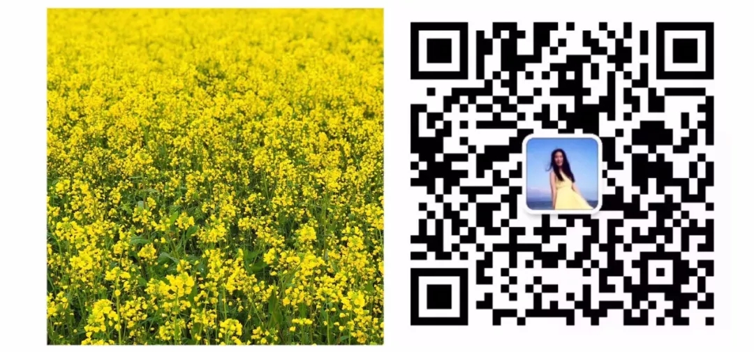 简易水彩画梅花教程,水彩画腊梅方法步骤