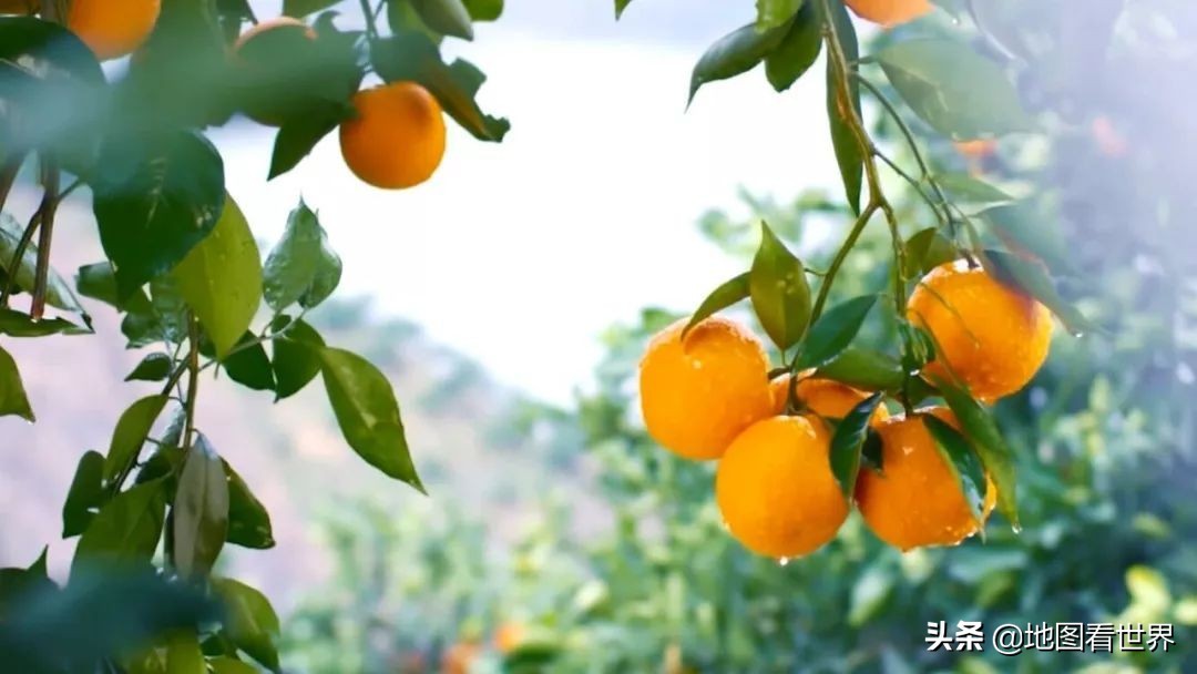 涓囪浇鍘垮湴鍚嶇殑鏉ュ巻,涓囪浇鍦板悕鏉ユ簮