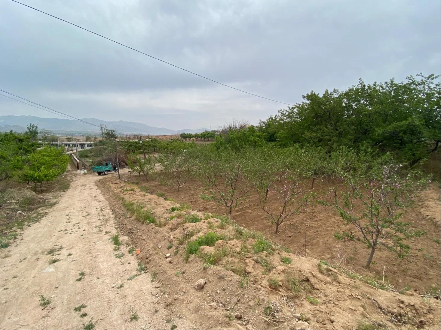 【7/5】29、搬倒井后太爷墓