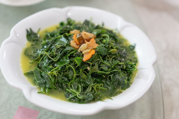 广州南沙最美风景区,南沙湾区超美风景线