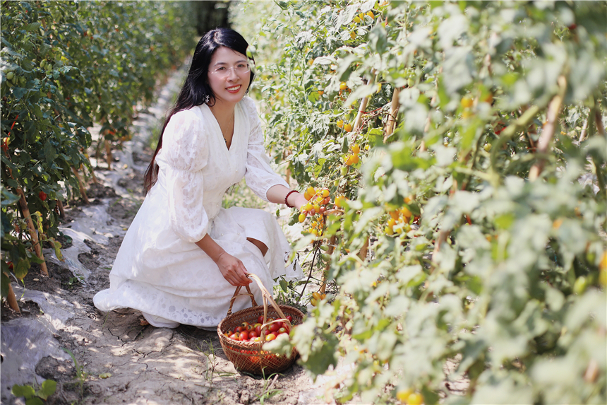 听评弹江南古镇的夜晚,苏州听评弹一日游