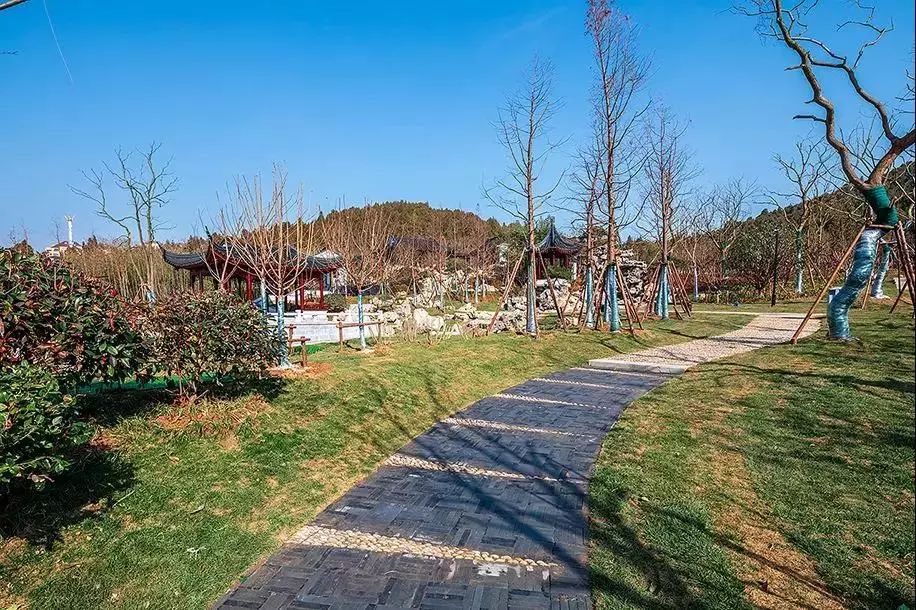 南区人有福了!徐州两大山体公园开放!瀑布、壁画、花……