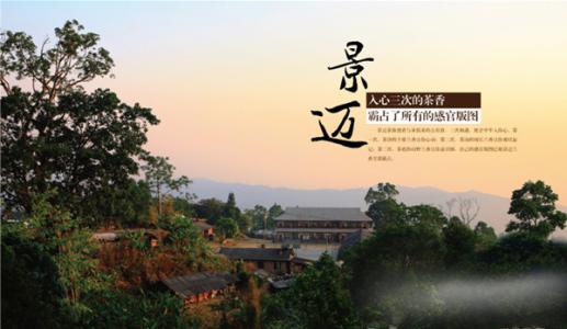 云南普洱茶区六大茶区,普洱茶茶区详细分布图