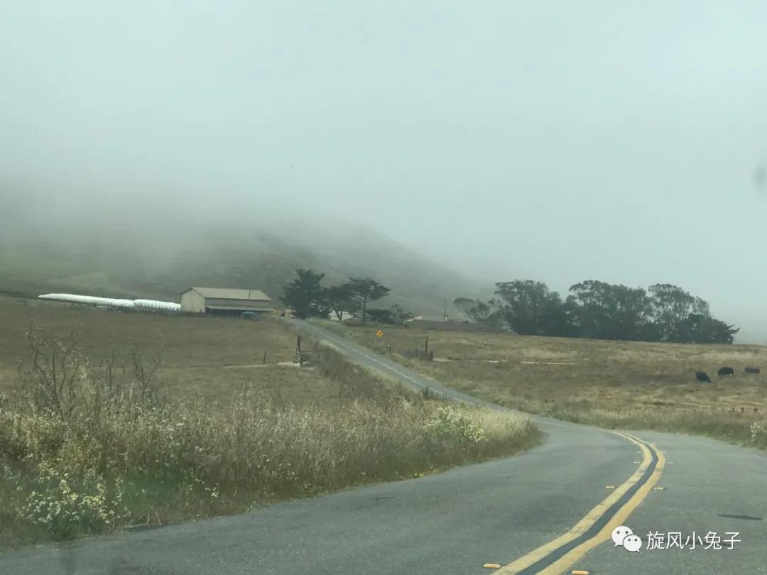 加州沿海1号公路自驾游散装系列（一）：阳光北加的金山依旧