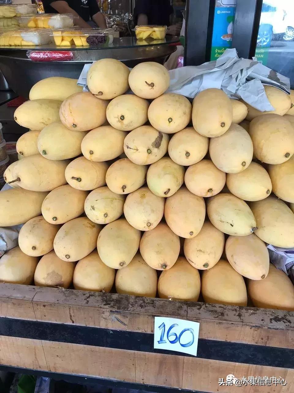 只卖榴莲的水果店,四季芒果水果店