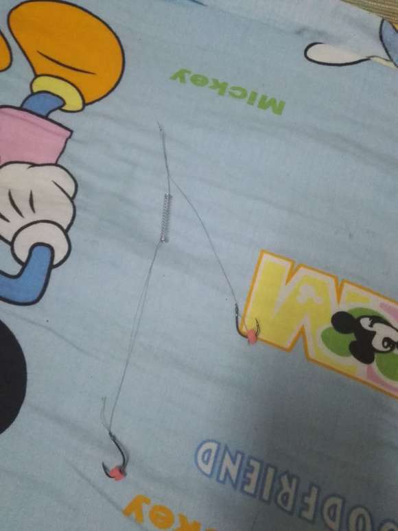 禁渔期单竿单钩怎么处罚,禁钓期后可以一线双钩吗