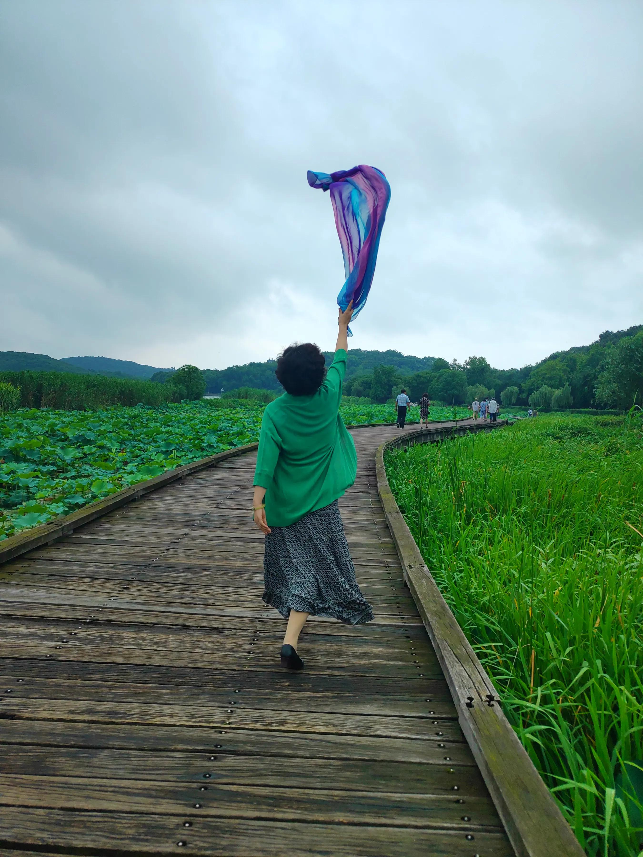 手拍世界投稿,手拍世界作品专集