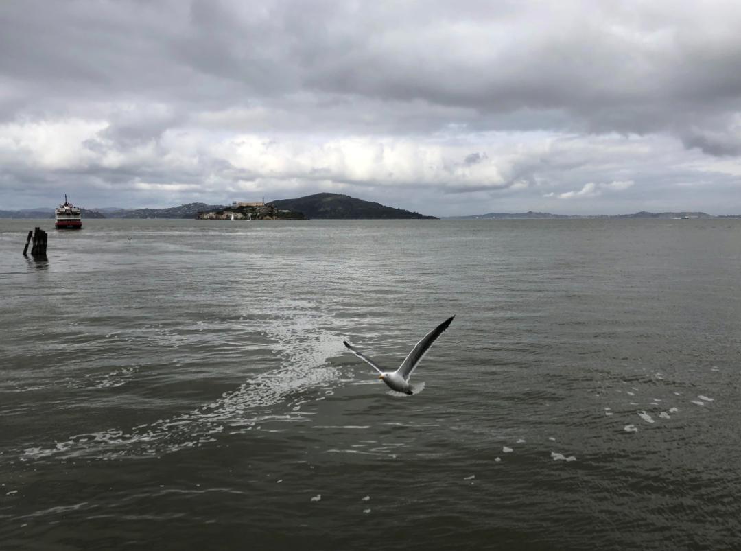 ins风暗黑小众照片,暗黑风ins图