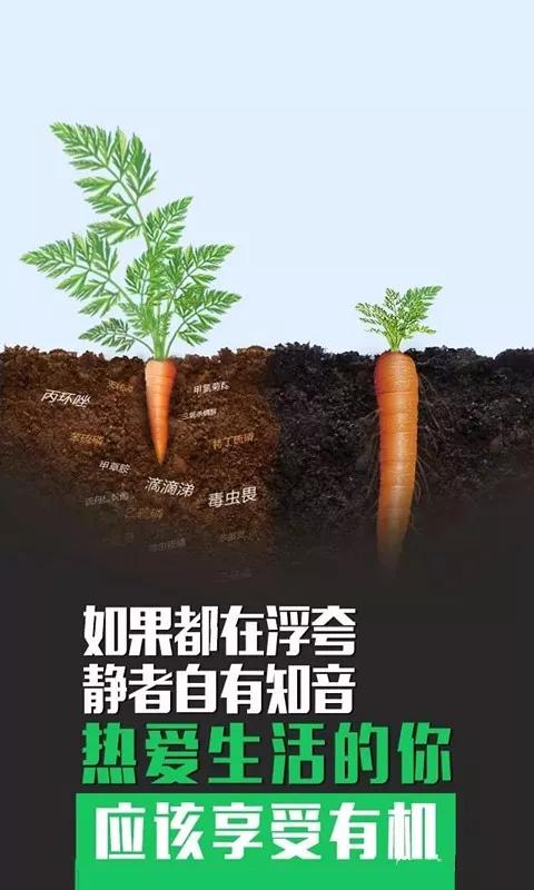 不用化肥农药的菜种植方法,不用化肥农药真的能种出来蔬菜吗