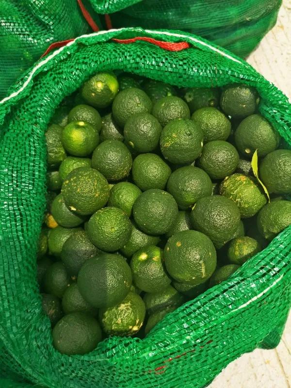 本草纲目里面有哪些药草,本草纲目里面的植物有什么