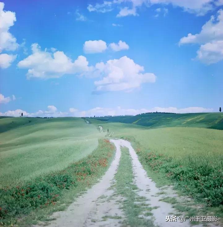 摄影必学的9种构图方法,摄影萌新必学12个构图技巧