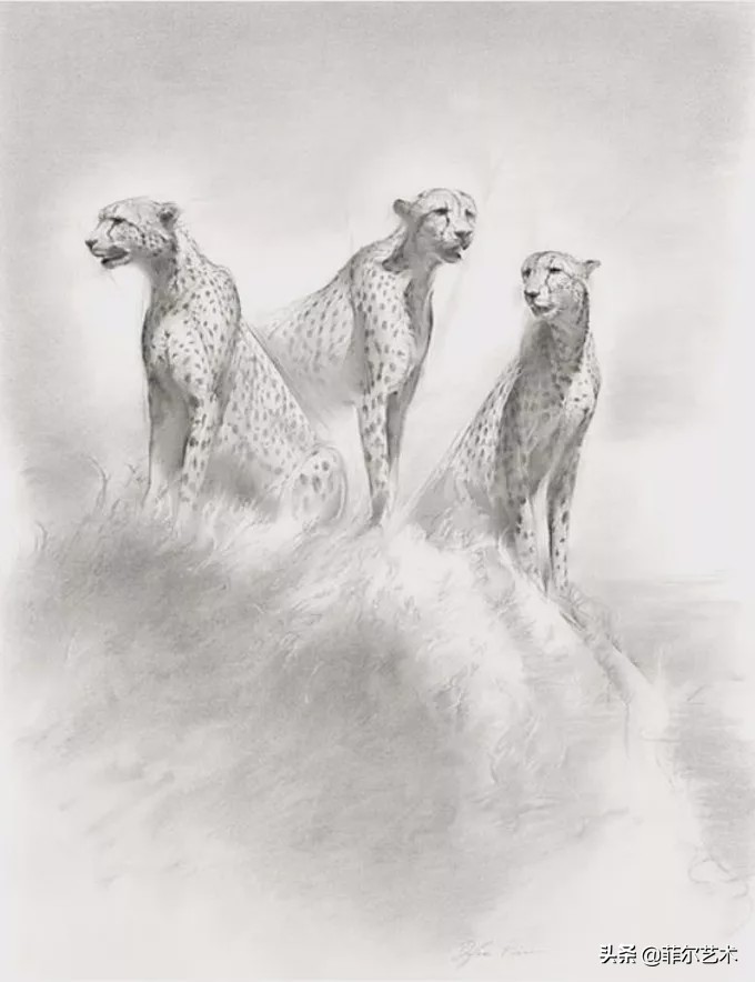 皮尔斯水彩画欣赏 (迪伦斯科特皮尔斯水彩作品欣赏)