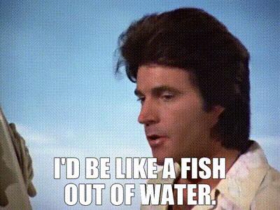 这几个听起来耳熟的，英语成语，出乎意料的是另外一码事儿