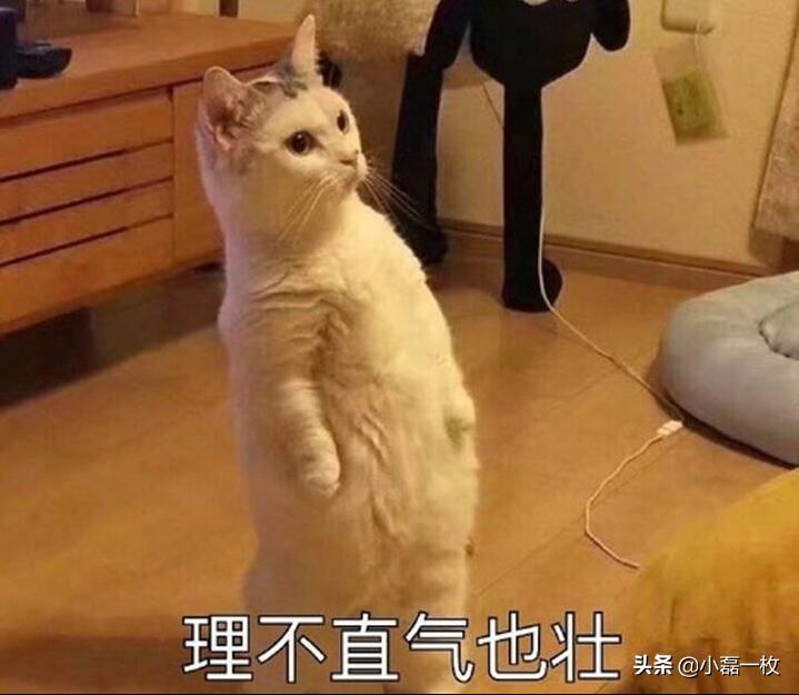 大牌化妆品套装推荐性价比高,性价比高的化妆品品牌有哪些