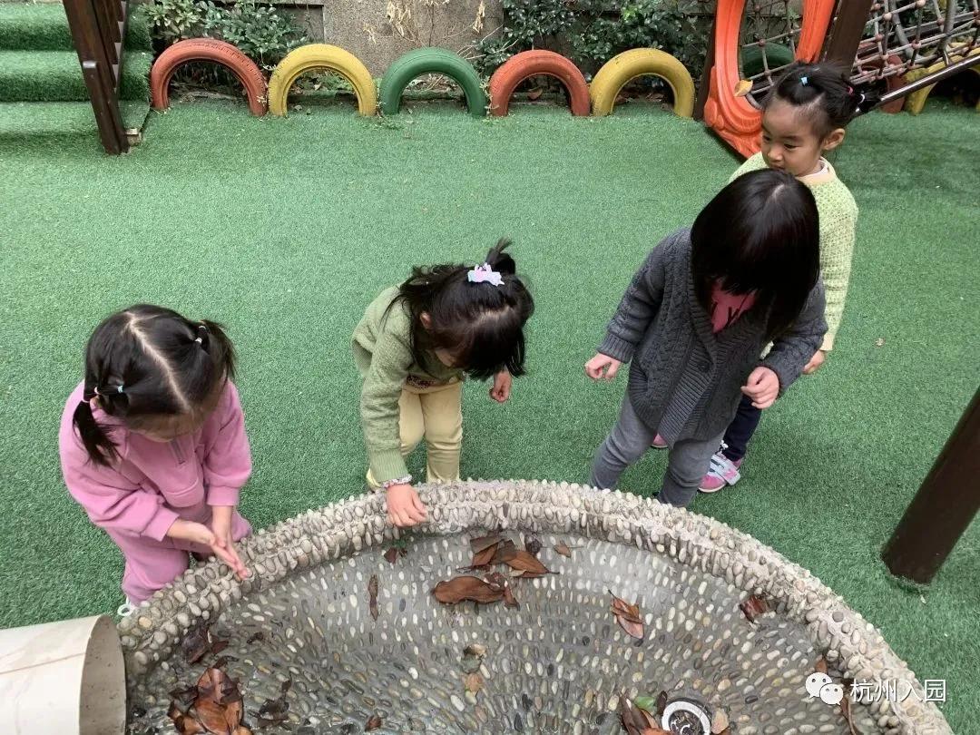 杭州民办幼儿园推荐,杭州民办幼儿园最贵收费top10