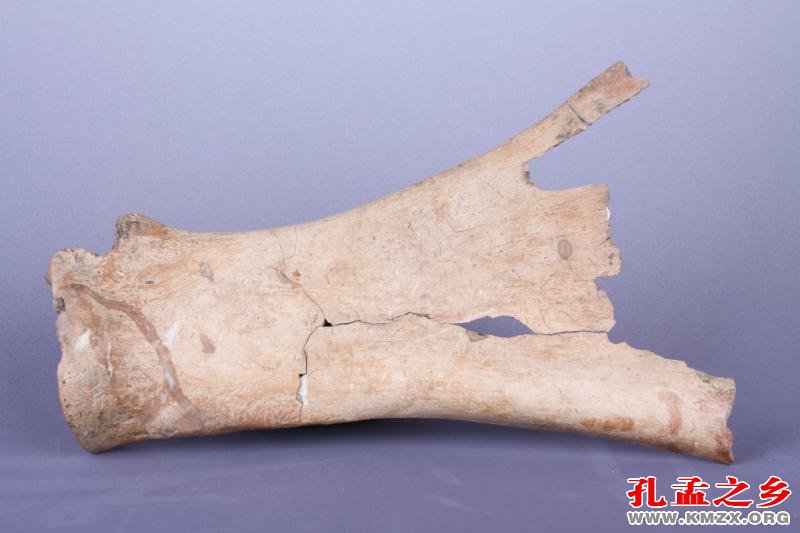 甲骨文和青铜器之间的关系,甲骨文和伊尹关系