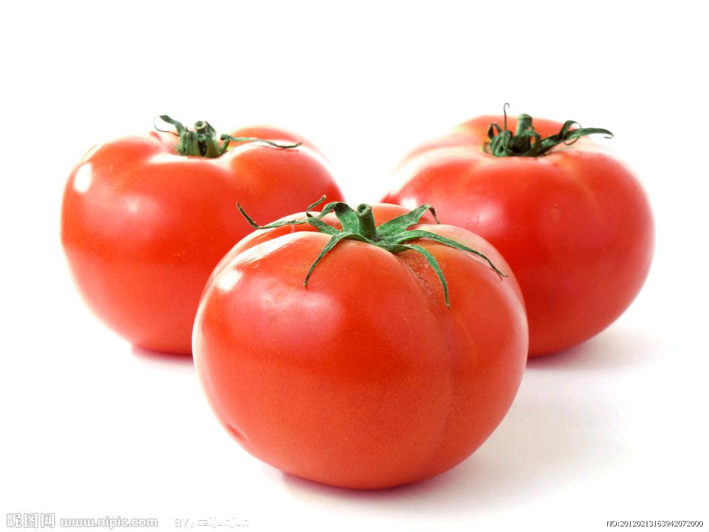 怎么用简单的食材做出最美味的菜,最简单的食材做成最美味的菜