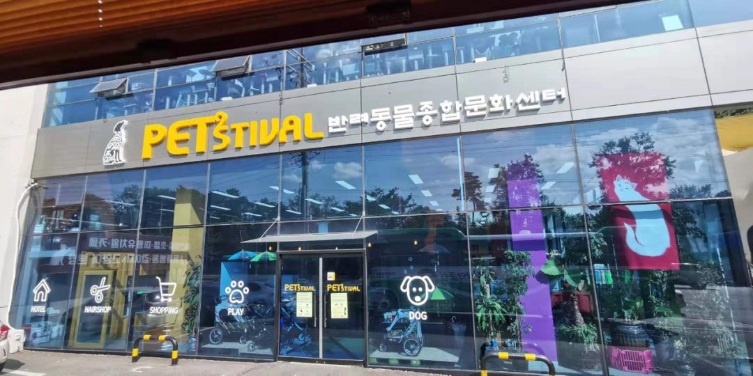 韩国宠物店推荐,韩国宠物店体验