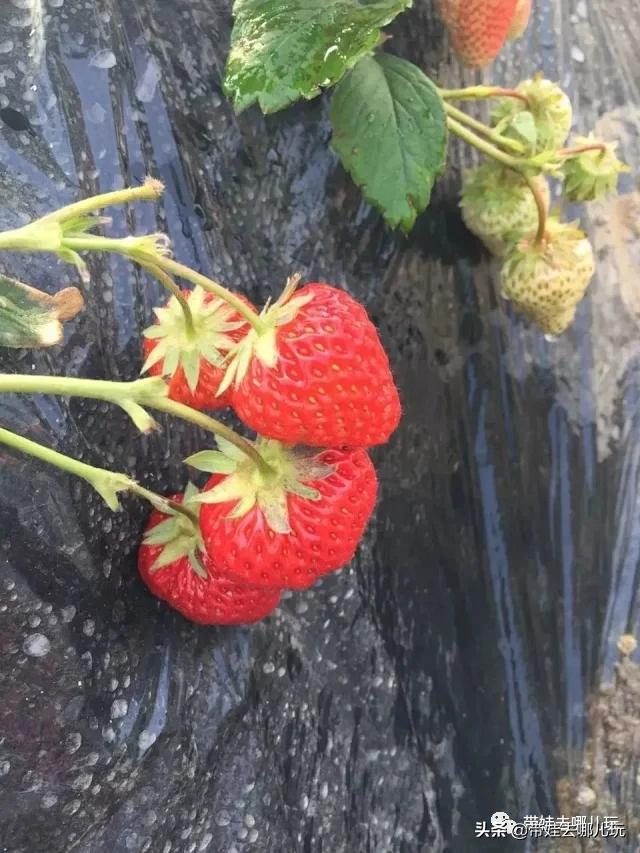 带娃周边3-4天自由行攻略,又到周末要带娃