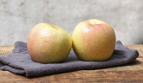 平安夜送什么苹果？不止红富士，这里是最有趣的苹果合集