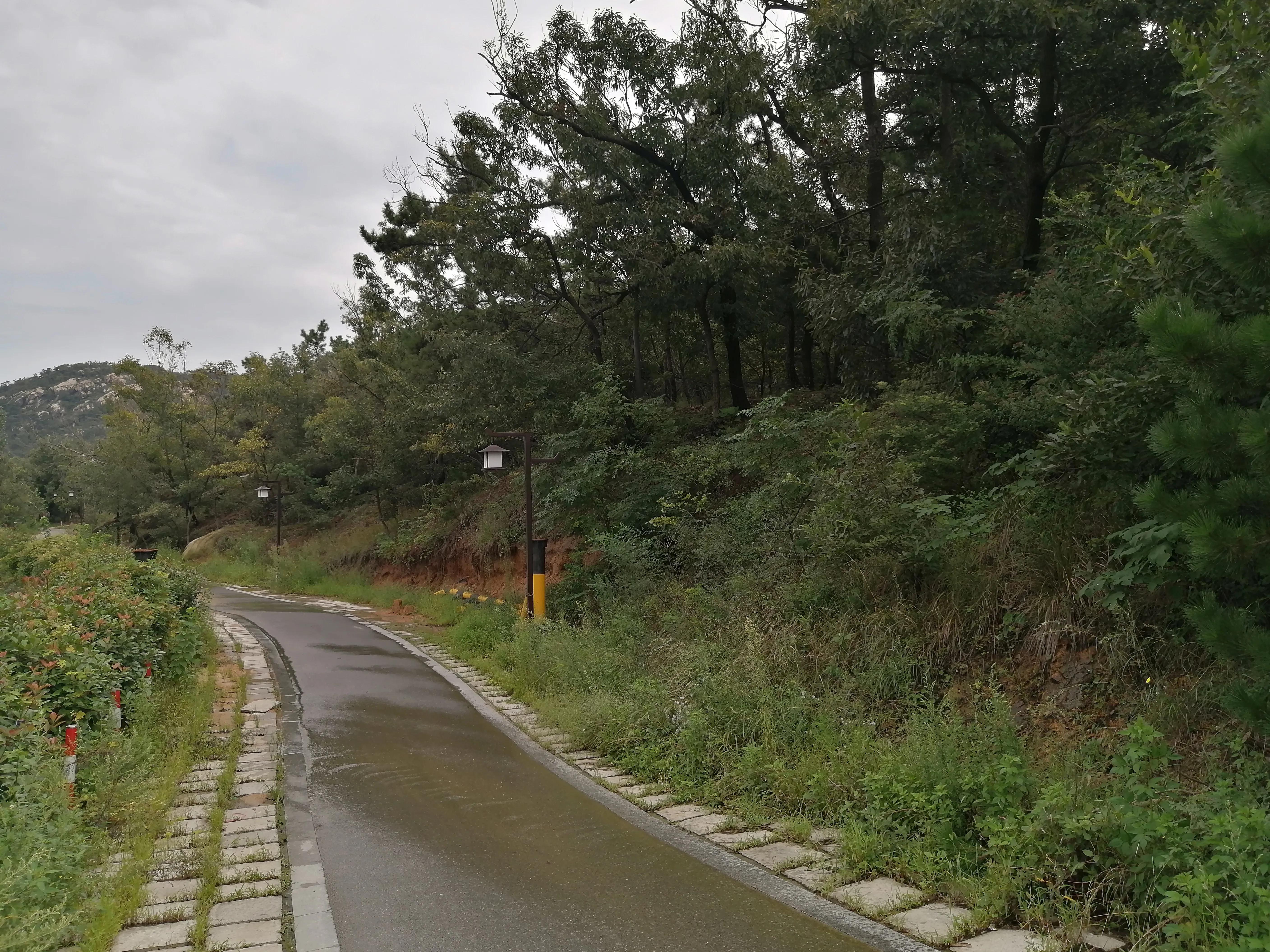 四十一、创业成功心欢喜，却被合伙人算计