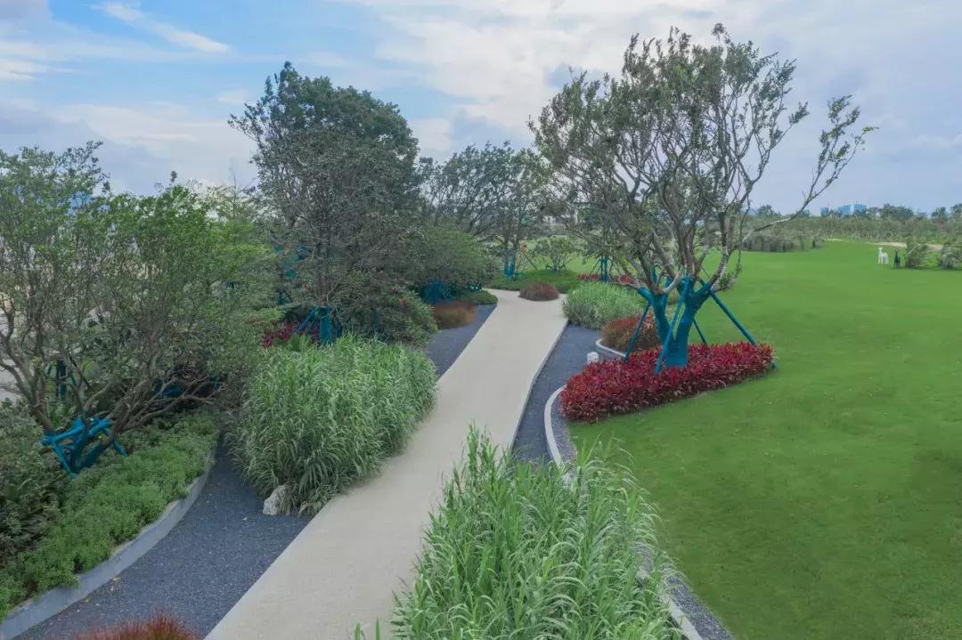 道天画卷寂然归心|怡品之珠海九洲保利天和·鹭语展示区