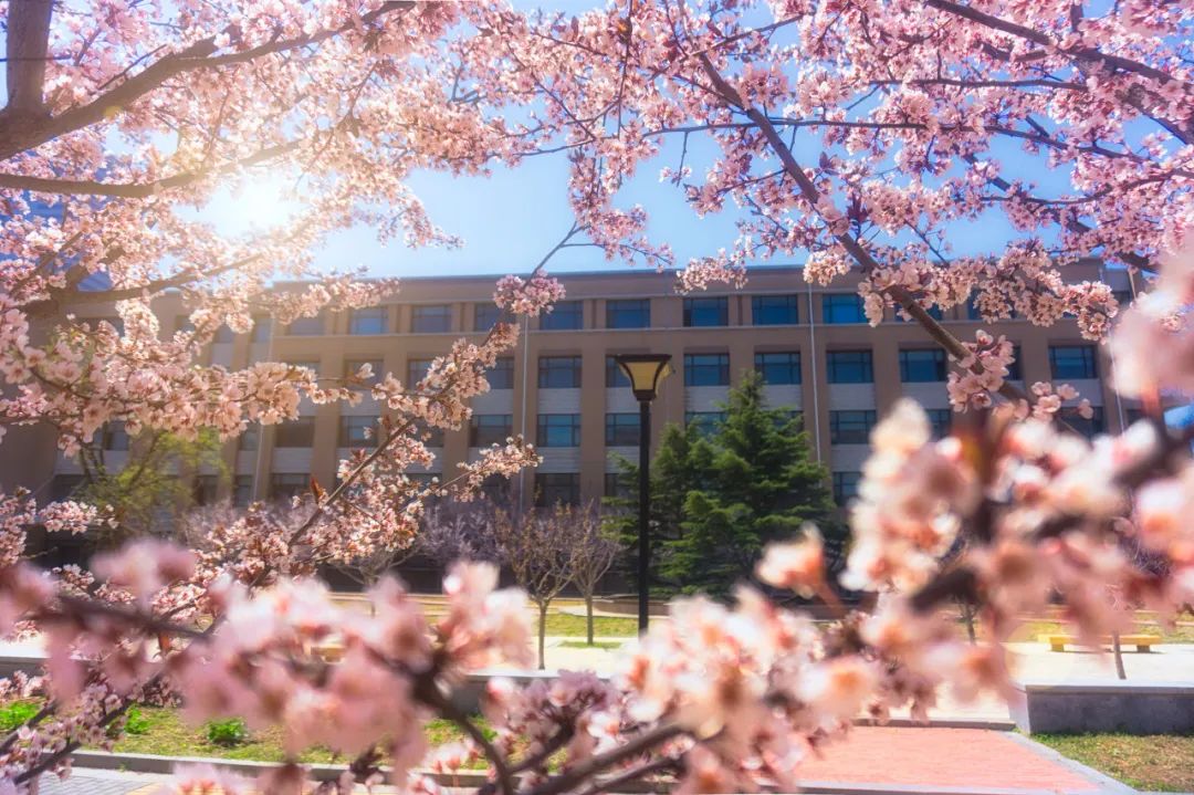 去大连海边玩一趟要多少钱,去海滨城玩有什么攻略