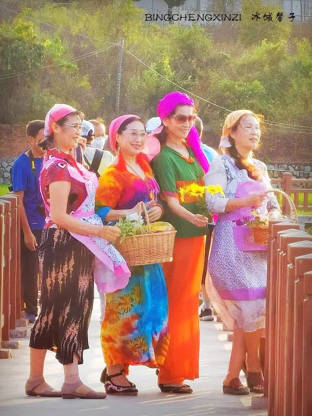 做把“村姑”，走进海南灯火灿烂的火龙果园