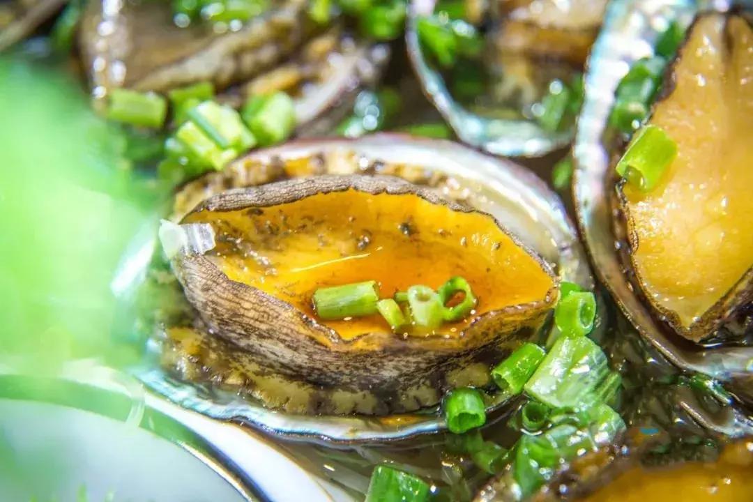 鍗楁槍娴烽矞鐑х儰鐢熻殱,鍗楁槍鐑х儰鐢熻殱鎺ㄨ崘