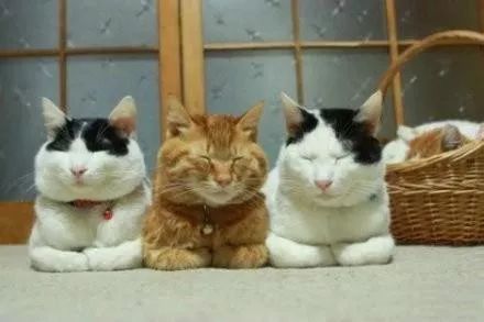 宝宝冬季帽子哪种舒服,宝宝帽子秋冬袜子