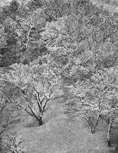 不会画就别学,不会画素描写生