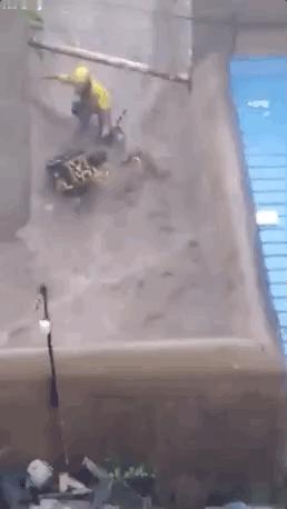 郑爽被判赔6000万有压力吗,郑爽被判赔投资方6000万