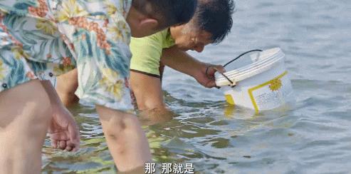 被央视表扬的b站up主,b站up主真实故事