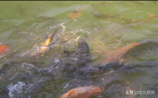 桂林哪些旅游景区好玩,桂林有哪些值得体验的项目