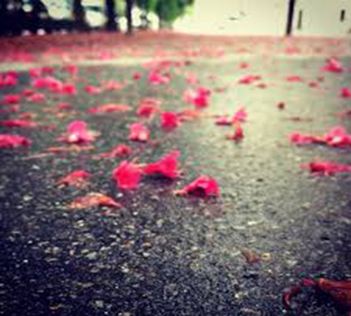 女子是否是处女？古人有特殊的鉴别方法，网友：长知识了