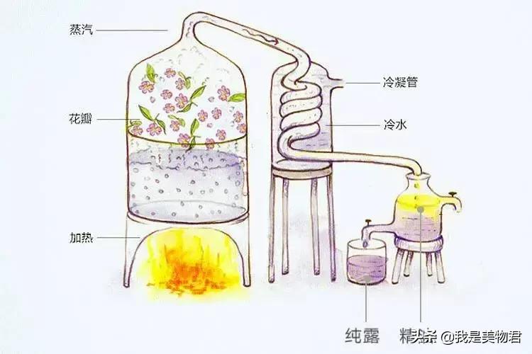 高效保湿纯露,补水效果最好的纯露