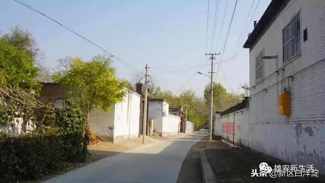 雄安新区纪事：容城印象