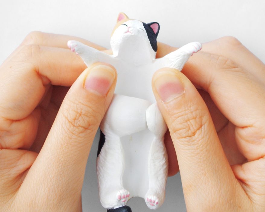 日本人又来骗猫奴们的钱啦!但我心甘情愿掏钱了!