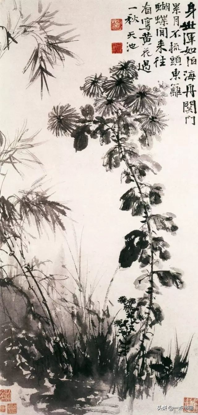 国画菊花画法步骤图解,国画菊花品种大全