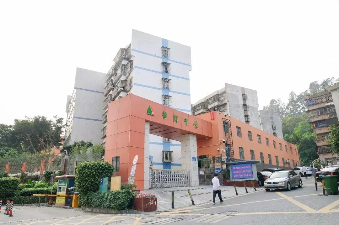 笋岗,不说再见!